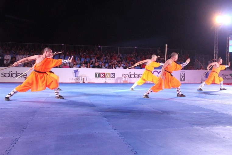 Martial Arts Festival